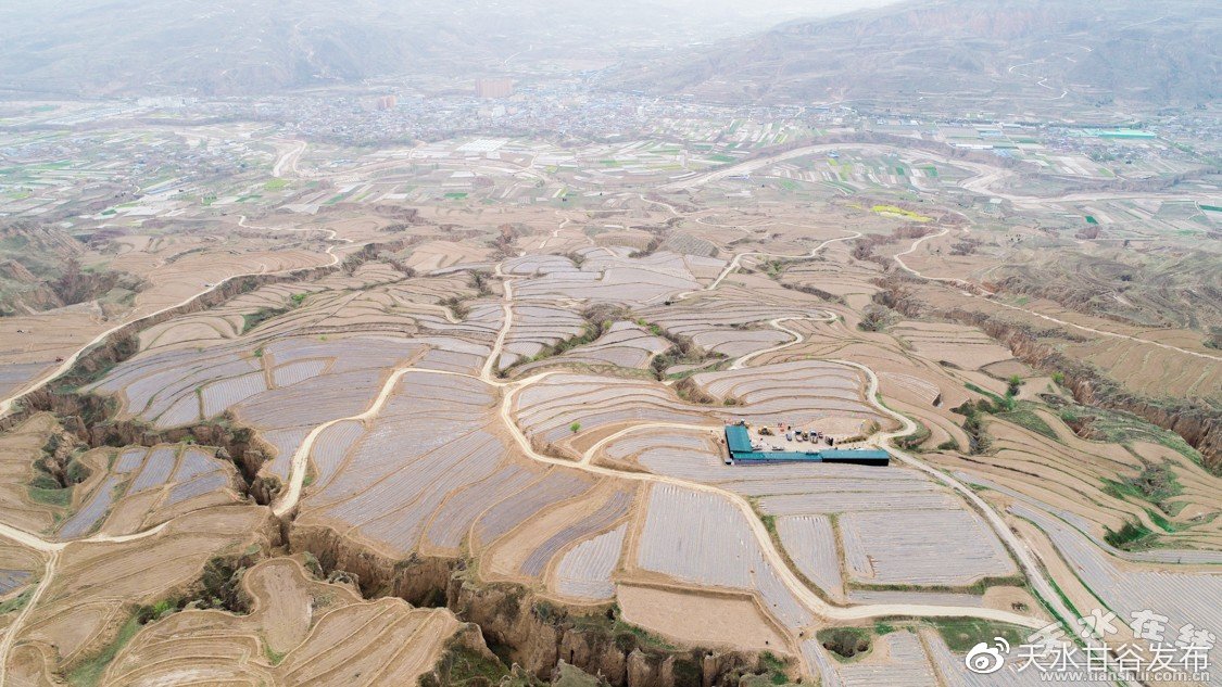 刘耀文满分薄肌男