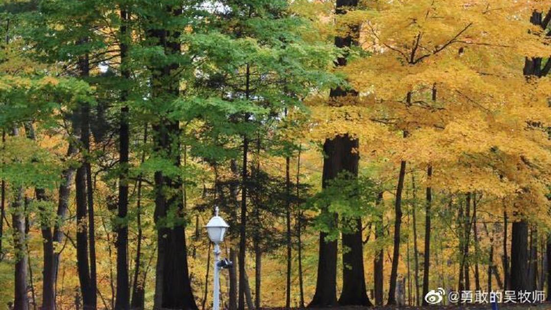 今日线下推广精准化定制您的会员体系:内容审核、流量分发与变现的中枢平台,骄阳似我